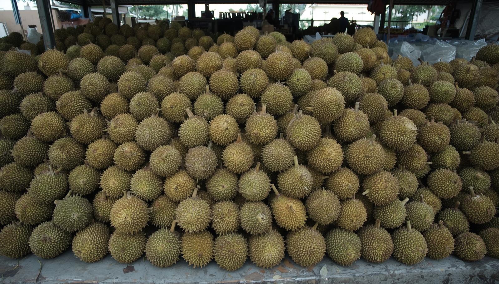 why-so-many-durian-varieties